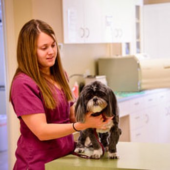 Ammon Veterinary Hospital - Veterinarians Near Me - Ammon, Idaho Ammon Veterinary Hospital - Veterinarians Near Me - Ammon, Idaho