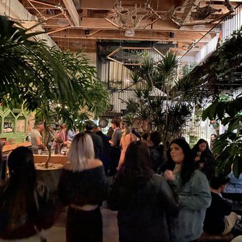 Arcana - Nurseries & Gardening Near Me - San Francisco, California