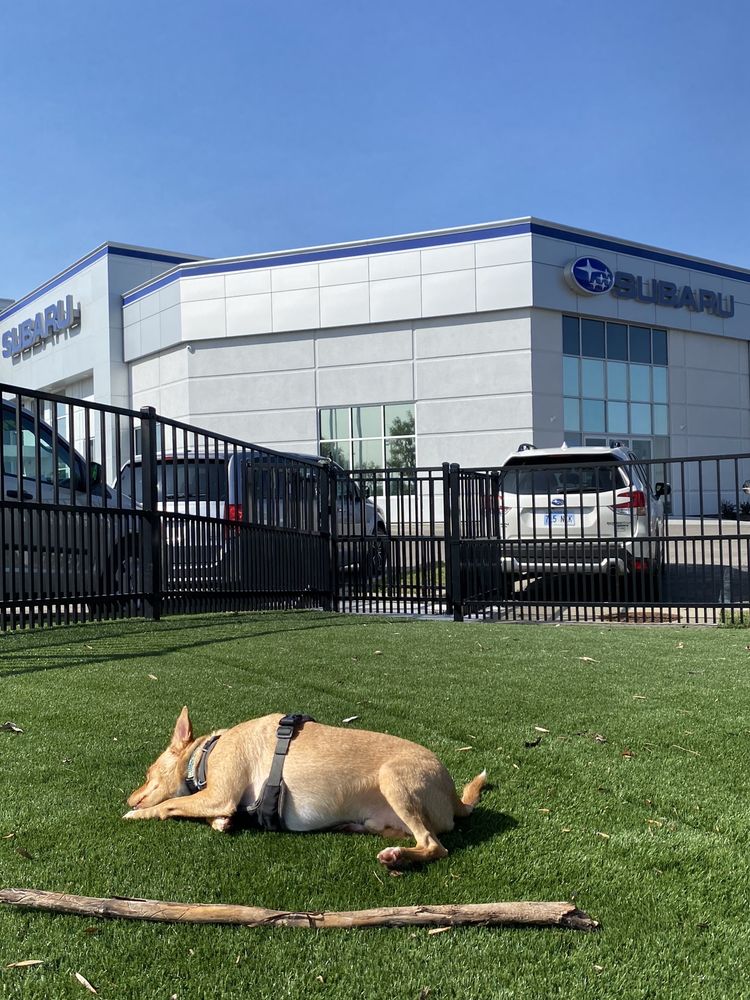 LEE’S SUMMIT SUBARU Updated August 2024 54 Photos & 68 Reviews