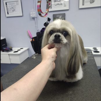 Pets Playground Grooming - Pet Groomers Near Me - Pompano Beach, Florida