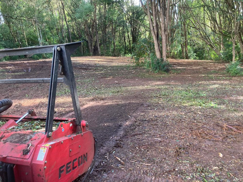 EXCEL LAND CLEARING FORT MYERS Request a Quote Fort Myers, Florida