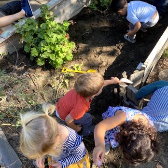Peregrine School - Preschools Near Me - Davis, California
