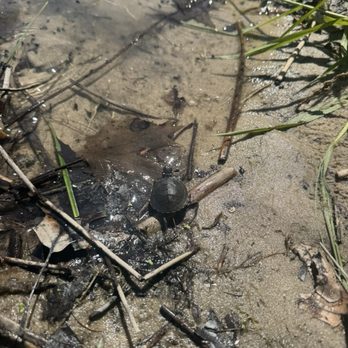 Turtle Lake Campgrounds - Campgrounds Near Me - Beulah, Michigan Turtle Lake Campgrounds - Campgrounds Near Me - Beulah, Michigan