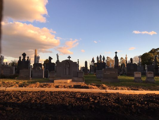 Calvary Cemetery by null