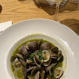 Steamers
