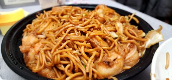 Golden Pheasant by null