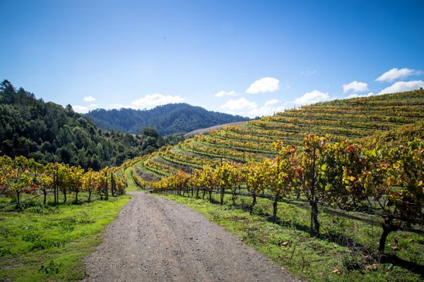 Devils Gulch Ranch by null