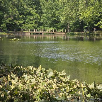 Forest Hill Park - Parks Near Me - Richmond, Virginia Forest Hill Park - Parks Near Me - Richmond, Virginia