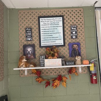 Whiskers To Tails - Pet Groomers Near Me - Redlands, California