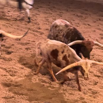 Dolly Parton’s Stampede - Longhorn - Performing Arts Near Me - Branson, Missouri