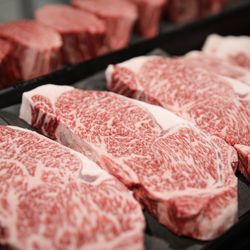 TN Craft Butcher