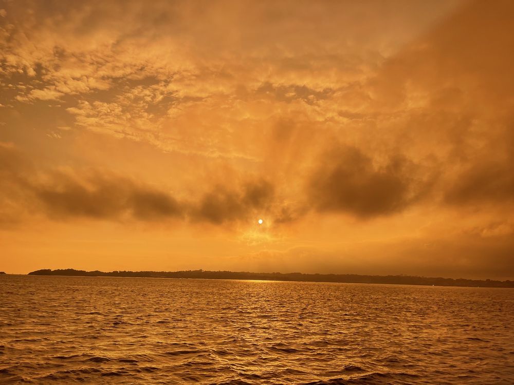 PINEAPPLE SAILING CHARTERS Updated October 2024 13 Photos Newport