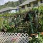 Manoa Community Garden