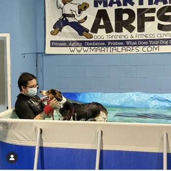 Martial Arfs - Martial ARFS pool - Pet Training Near Me - Carle Place, New York Martial Arfs - Martial ARFS pool - Pet Training Near Me - Carle Place, New York
