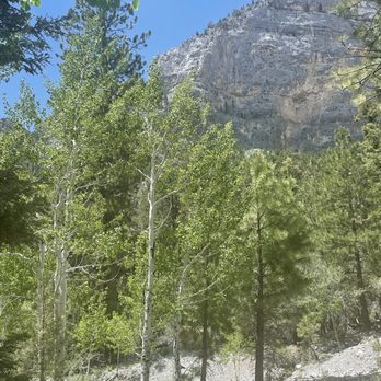 Mt. Charleston - On the trail - Hiking Near Me - Las Vegas, Nevada Mt. Charleston - On the trail - Hiking Near Me - Las Vegas, Nevada