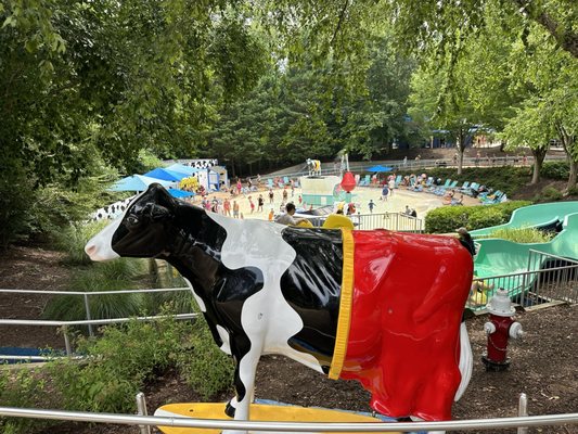 Water Country USA by null