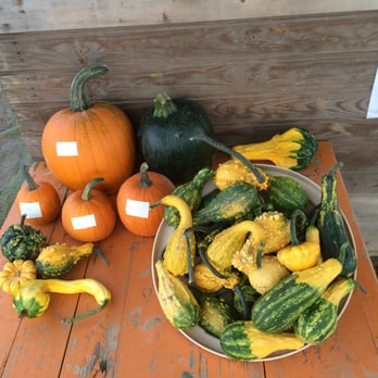 Jerry's Pumpkin Patch - These are some of the gords that you can purchase and some other examples of pumpkins - Fruits & Veggies Near Me - Pilsach, BY Jerry's Pumpkin Patch - These are some of the gords that you can purchase and some other examples of pumpkins - Fruits & Veggies Near Me - Pilsach, BY