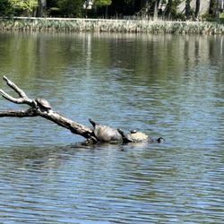 Colonial Lake Park