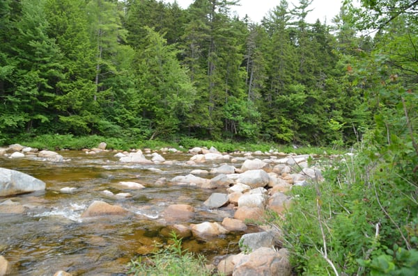 Rocky Gorge Scenic Area by null