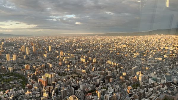 Harukas 300 (Observation Deck) by null