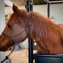 Photo of Bakersfield Large Animal Hospital
