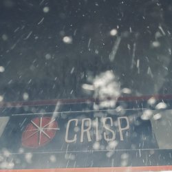 Crisp