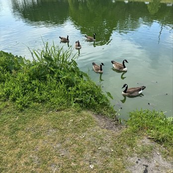 Lake Mayer Park - Parks Near Me - Savannah, Georgia