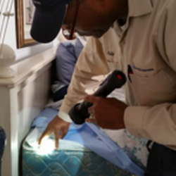Relay Pest Control