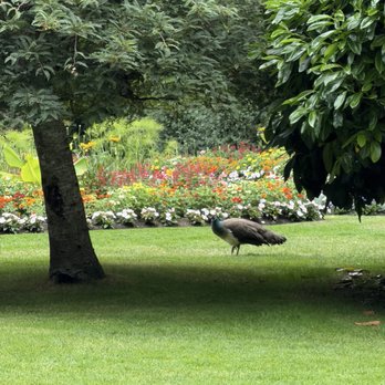 Beacon Hill Park - Parks Near Me - Victoria, British Columbia Beacon Hill Park - Parks Near Me - Victoria, British Columbia