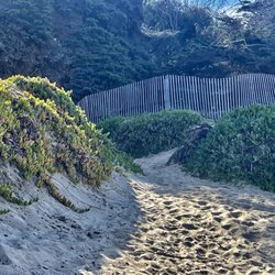 Pismo State Beach - North Beach Campground - April 11, 2025 - Path to campground from beach.