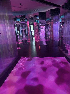 ARTECHOUSE Miami by null
