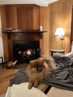 Stanford Inn & Resort on the Mendocino Coast by null