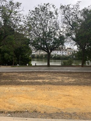 Mercado del Barranco by null
