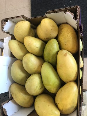 T Y Oriental Food Market & Gift Shop