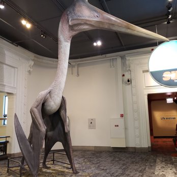 Field Museum - Museums Near Me - Chicago, Illinois