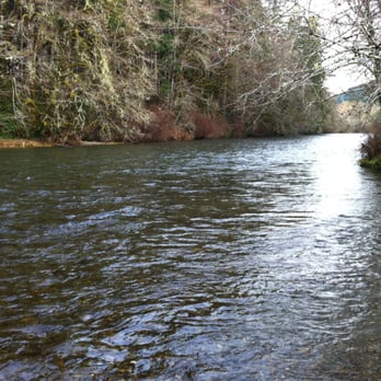Schafer State Park - Parks Near Me - Elma, Washington
