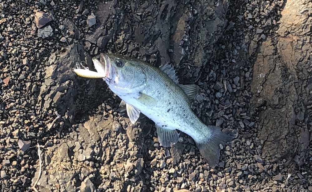 STEELE CANYON CAMPGROUND 56 Photos & 26 Reviews Campgrounds 1605