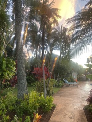 The Mauian Hotel by null