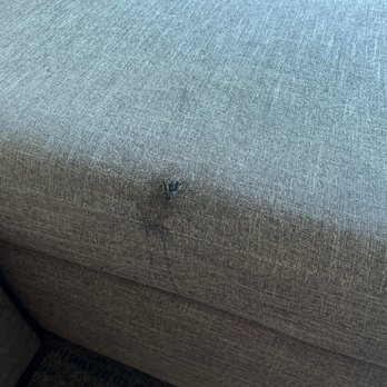 Residence Inn by Marriott Long Beach Downtown - Dirty torn couch - Hotels Near Me - Long Beach, California Residence Inn by Marriott Long Beach Downtown - Dirty torn couch - Hotels Near Me - Long Beach, California