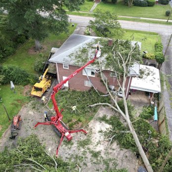 Louisiana Tree Services - Tree Services Near Me Louisiana Tree Services - Tree Services Near Me