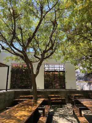 Maple Block Barbecue by null