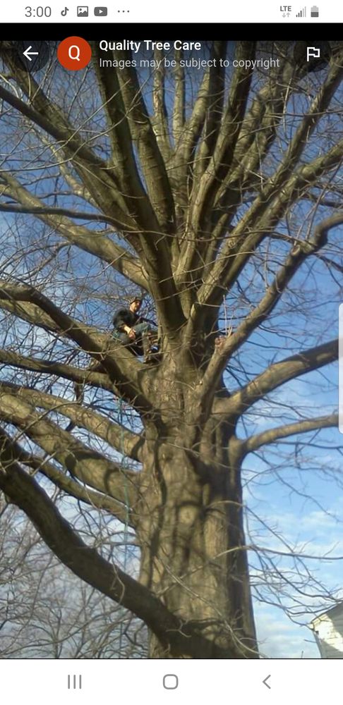 DONE RITE TREES - Updated December 2025 - 10950 Mitchell Rd SE, East ...