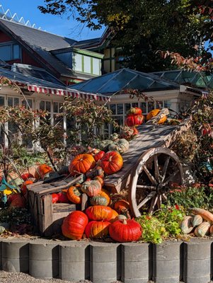 Tivoli Gardens by null