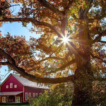 Bonner Barn - Venues & Event Spaces Near Me - Powell, Ohio Bonner Barn - Venues & Event Spaces Near Me - Powell, Ohio