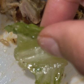 Malek Al Kabob - Really so gross - Mediterranean Near Me - Dearborn, Michigan
