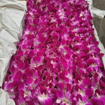 Moe's Flowers - 8 Beautiful Lei's - Florists Near Me - Berkeley, California Moe's Flowers - 8 Beautiful Lei's - Florists Near Me - Berkeley, California