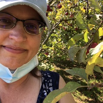 Clearview Orchards - In the trees - Farmers Market Near Me - Watsonville, California