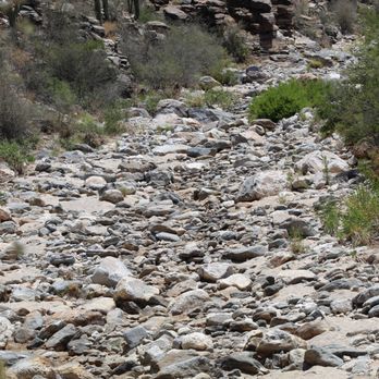 Sabino Canyon - Parks Near Me - Tucson, Arizona Sabino Canyon - Parks Near Me - Tucson, Arizona