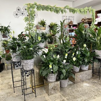 Suzann's Flowers - 2/10/25 Amazing selection, plants fresh n non - Florists Near Me - Upland, California