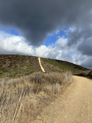 Laguna Coast Wilderness Park: Big Bend by null